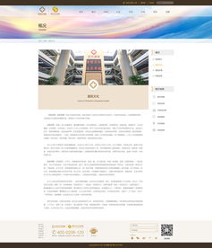 構建以患者為中心的醫院網站 網頁與網站設計的核心原則